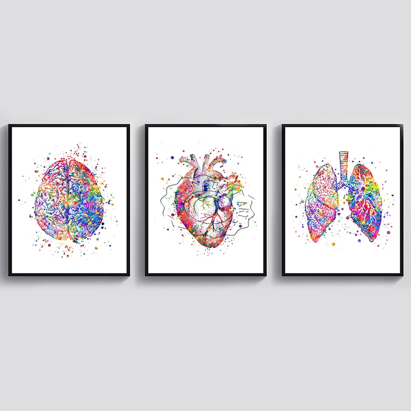 Медицинска Анатомия на човека Реколта плакати и щампи Сърцето Леки Мозъка Акварел Платно Живопис Подаръци доктор по Декора на стените клиника